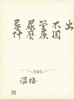 导尿管不出尿了什么原因