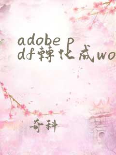 adobe pdf转化成word