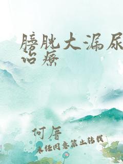 膀胱大漏尿怎么治疗