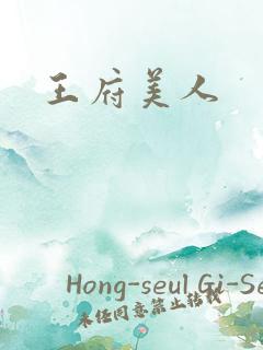 王府美人