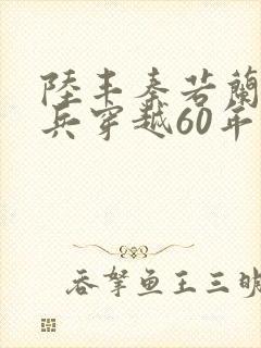 陆丰秦若兰特种兵穿越60年代