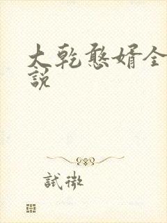 大乾憨婿全文小说