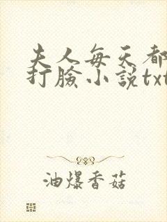 夫人每天都在线打脸小说txt精校版