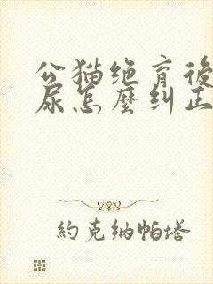 公猫绝育后还乱尿怎么纠正