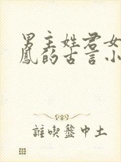 男主姓君女主姓凤的古言小说