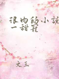 很肉的小说一对一甜宠