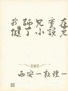 我师兄实在太稳健了小说免费听书