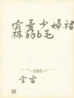 偷看少妇裙底内裤的b毛