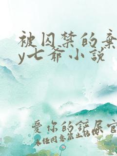 被囚禁的弃妃by七爷小说