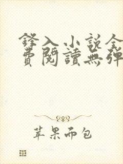 锋入小说全文免费阅读无弹窗