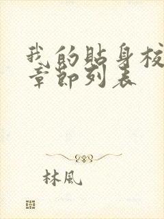 我的贴身校花新章节列表