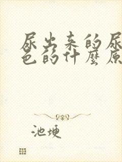 尿出来的尿是黑色的什么原因女性