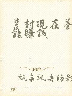 农村现在养什么能赚钱