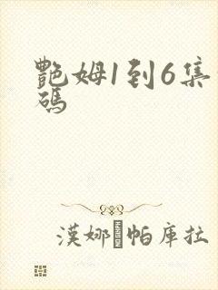 艳姆1到6集转码