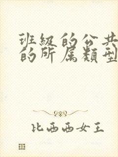 班级的公共小0的所属类型