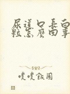 尿道口长白色米粒怎么回事