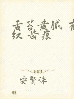 舌苔黄腻 有裂纹 齿痕