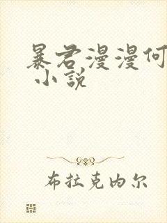 暴君漫漫何其多 小说