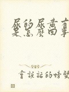 尿的尿黄有味道是怎么回事