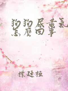 狗狗尿黄气味大怎么回事