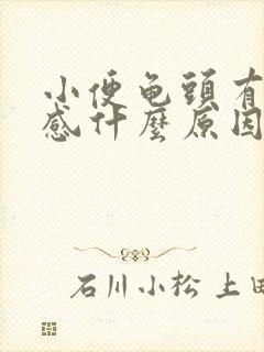 小便龟头有点痛感什么原因