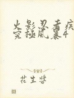 火影忍者疾风传究极风暴4