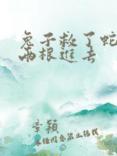 兔子救了蛇被蛇两根进去