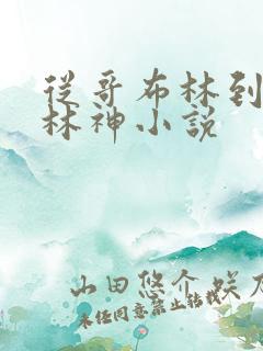 从哥布林到哥布林神小说