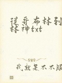 从哥布林到哥布林神txt