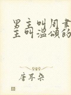 男主叫周聿川女主叫温颂的小说