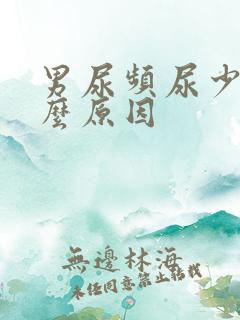 男尿频尿少是什么原因