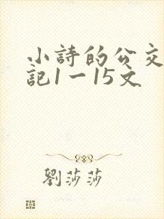 小诗的公交车日记1一15文