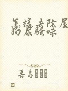 怎样去除屋里的狗尿骚味