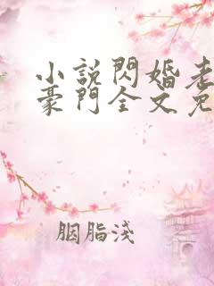 小说闪婚老公是豪门全文免费阅读