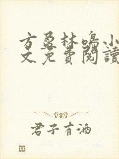 方盈林鸣小说全文免费阅读