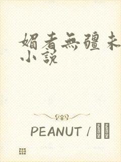 媚者无疆未删减小说