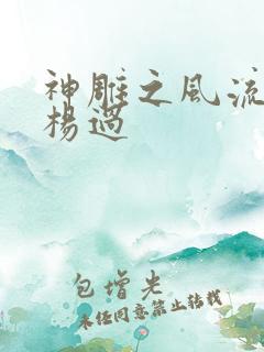 神雕之风流浪子杨过