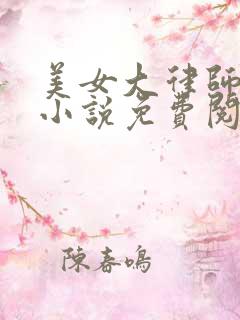 美女大律师张丹小说免费阅读