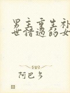 男主重生补偿前世错过的女主