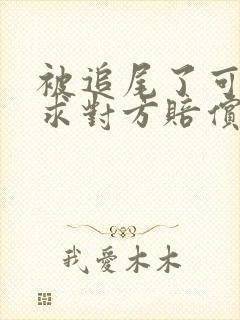 被追尾了可以要求对方赔偿折旧费吗