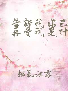 告诉我你已经不再爱我是什么歌