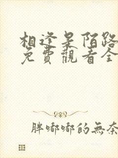 相逢是陌路短剧免费观看全集