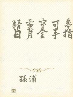 精灵宝可梦究极日月金手指