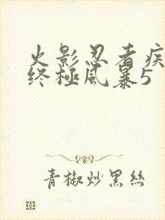 火影忍者疾风传终极风暴5