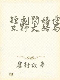 短剧闪婚傻妻甜又野大结局