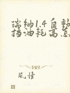 瑞纳1.4自动挡油耗高怎么回事