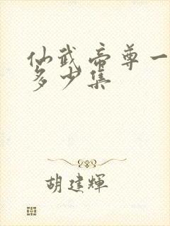 仙武帝尊一共有多少集