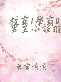 校霸1学霸0双男主小说推荐