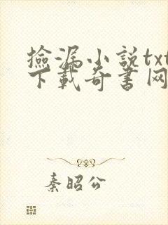 捡漏小说txt下载奇书网