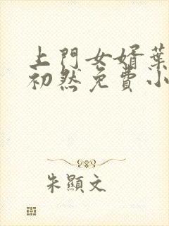 上门女婿叶辰萧初然免费小说